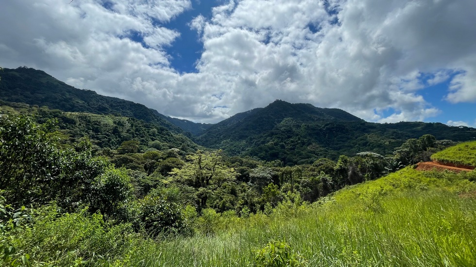 2 bed Single Family Homes For Sale in Ojochal, Puntarenas - thumb 13