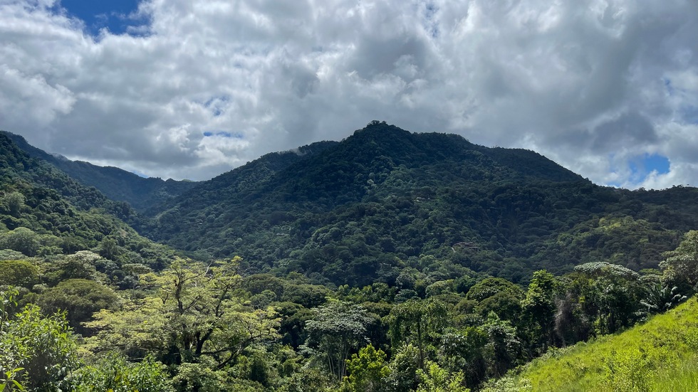 2 bed Single Family Homes For Sale in Ojochal, Puntarenas - thumb 10