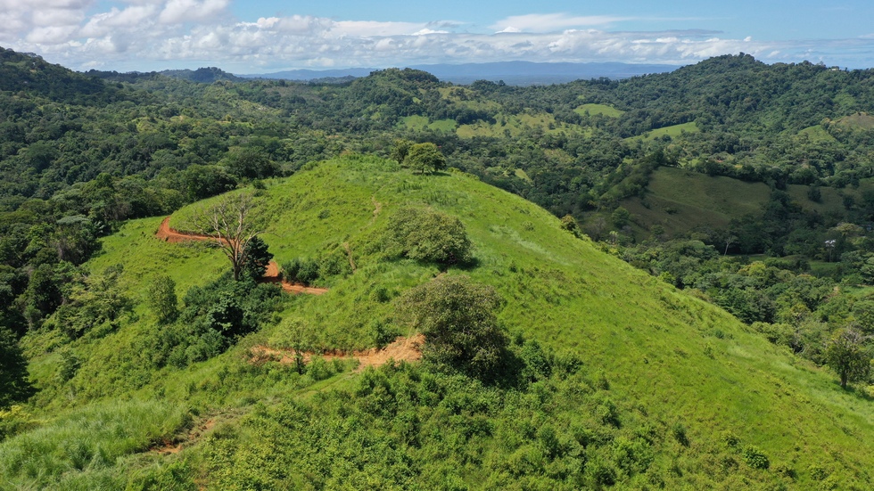 2 bed Single Family Homes For Sale in Ojochal, Puntarenas - thumb 1