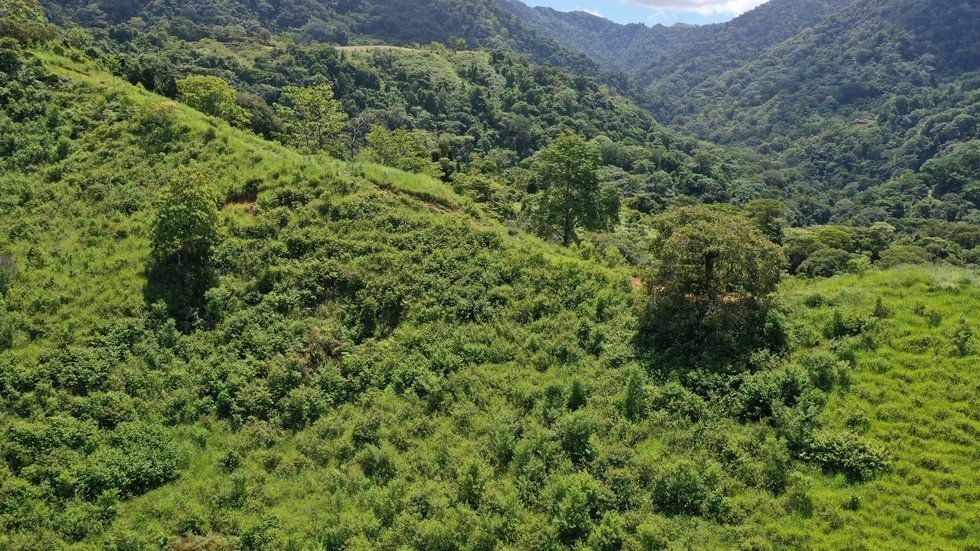 2 bed Single Family Homes For Sale in Ojochal, Puntarenas - thumb 3