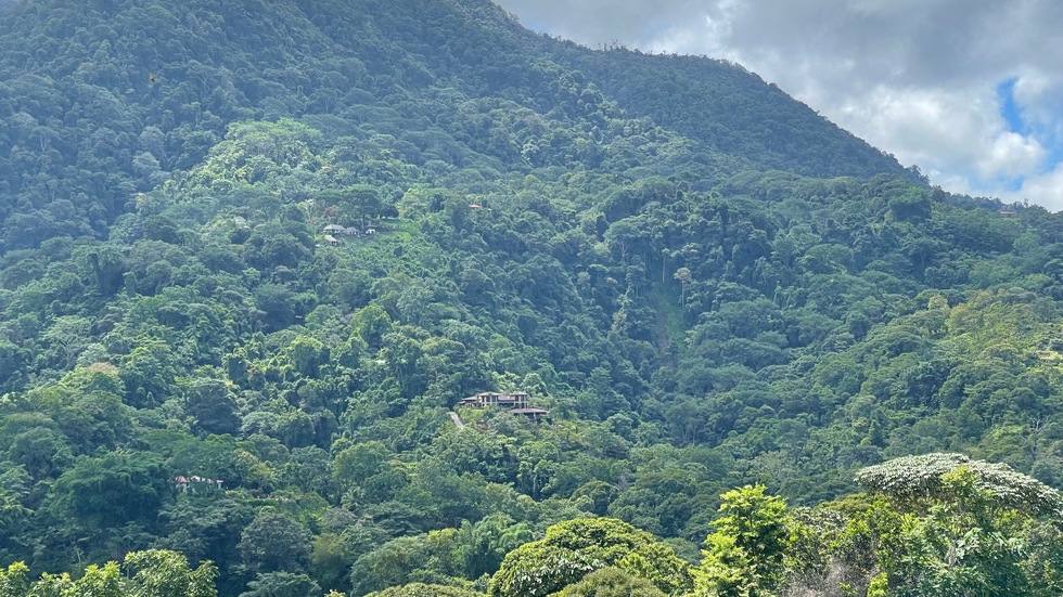 2 bed Single Family Homes For Sale in Ojochal, Puntarenas - thumb 11