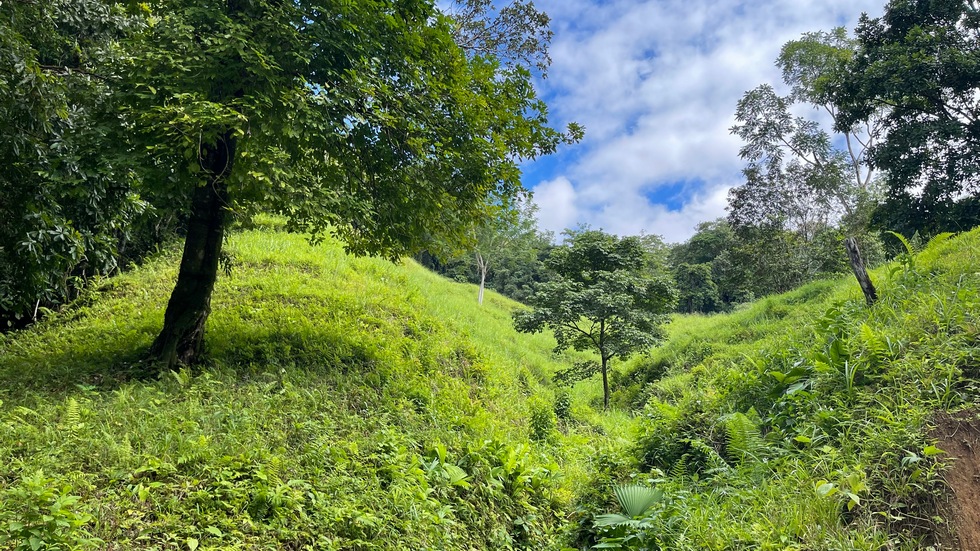 2 bed Single Family Homes For Sale in Ojochal, Puntarenas - thumb 4