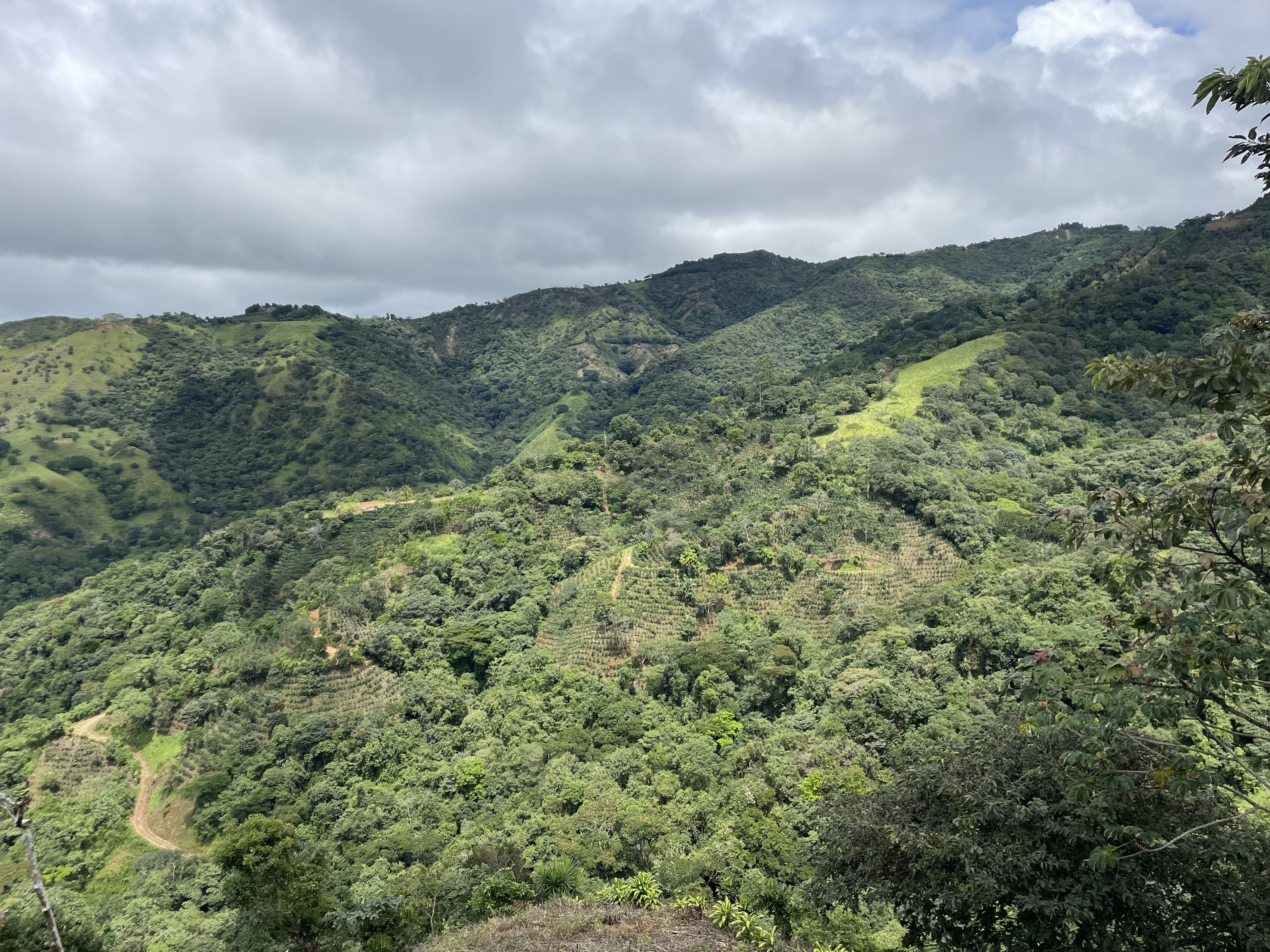 2 bed Single Family Homes For Sale in San Ramon, Alajuela - thumb 3