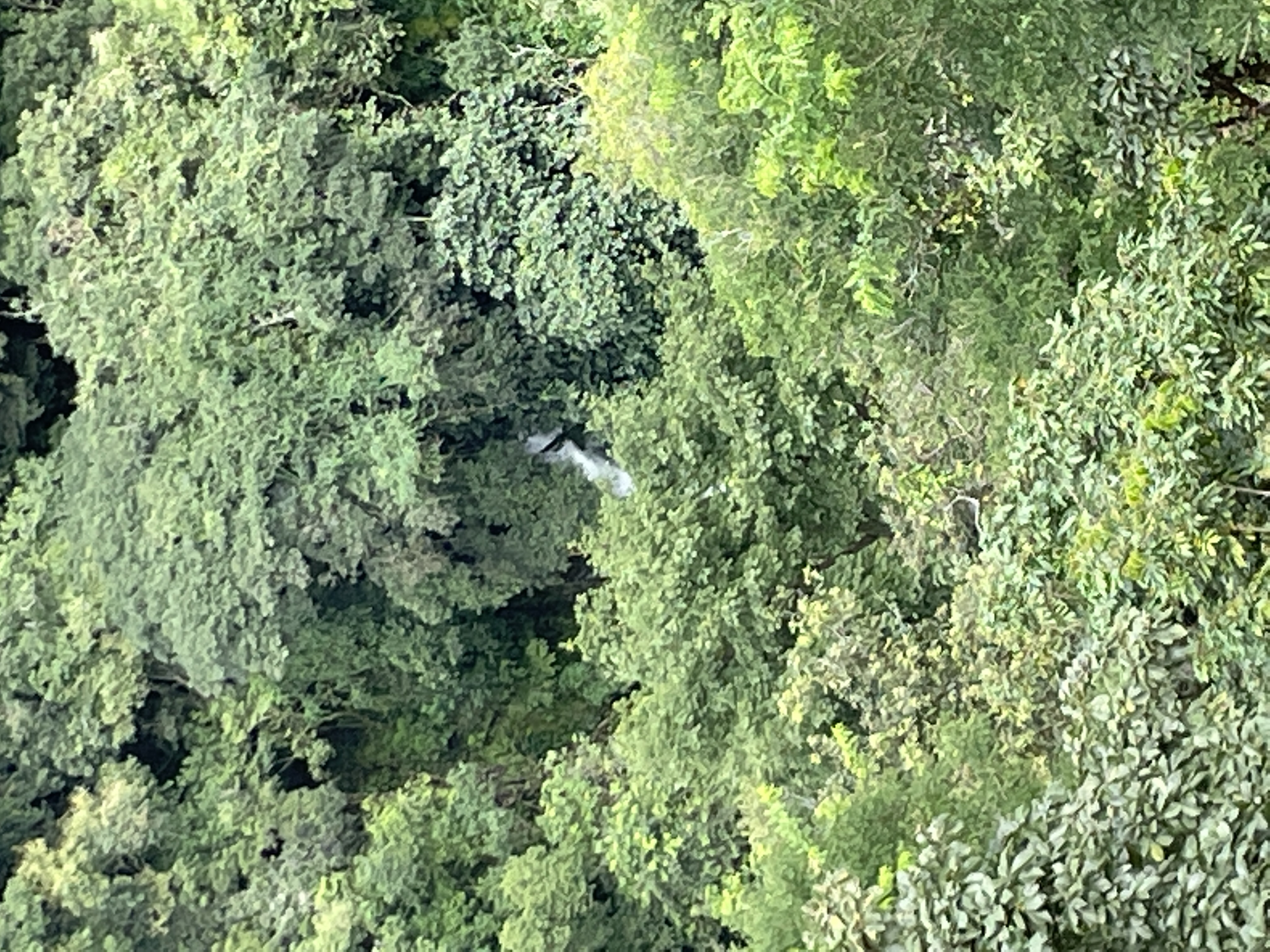 2 bed Single Family Homes For Sale in San Ramon, Alajuela - thumb 18