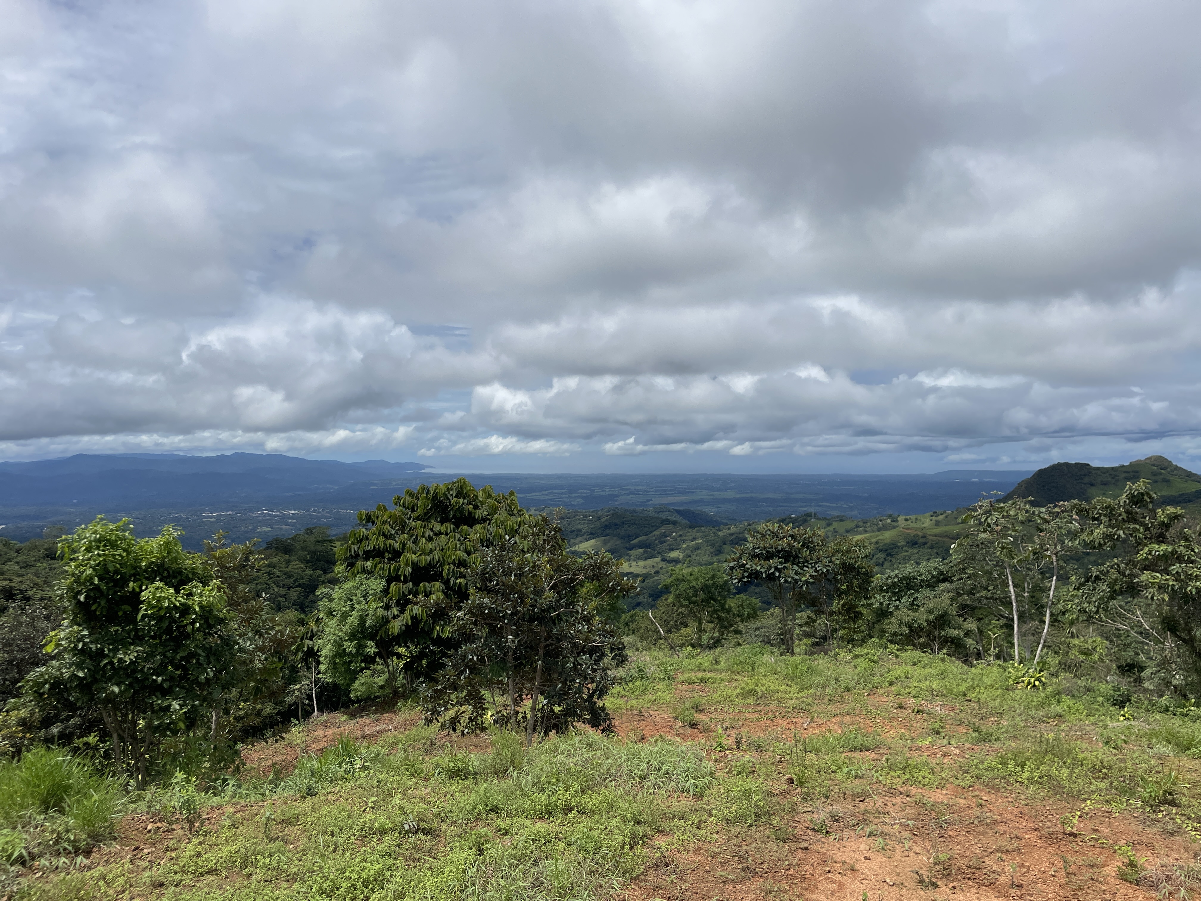 2 bed Single Family Homes For Sale in San Ramon, Alajuela - thumb 19