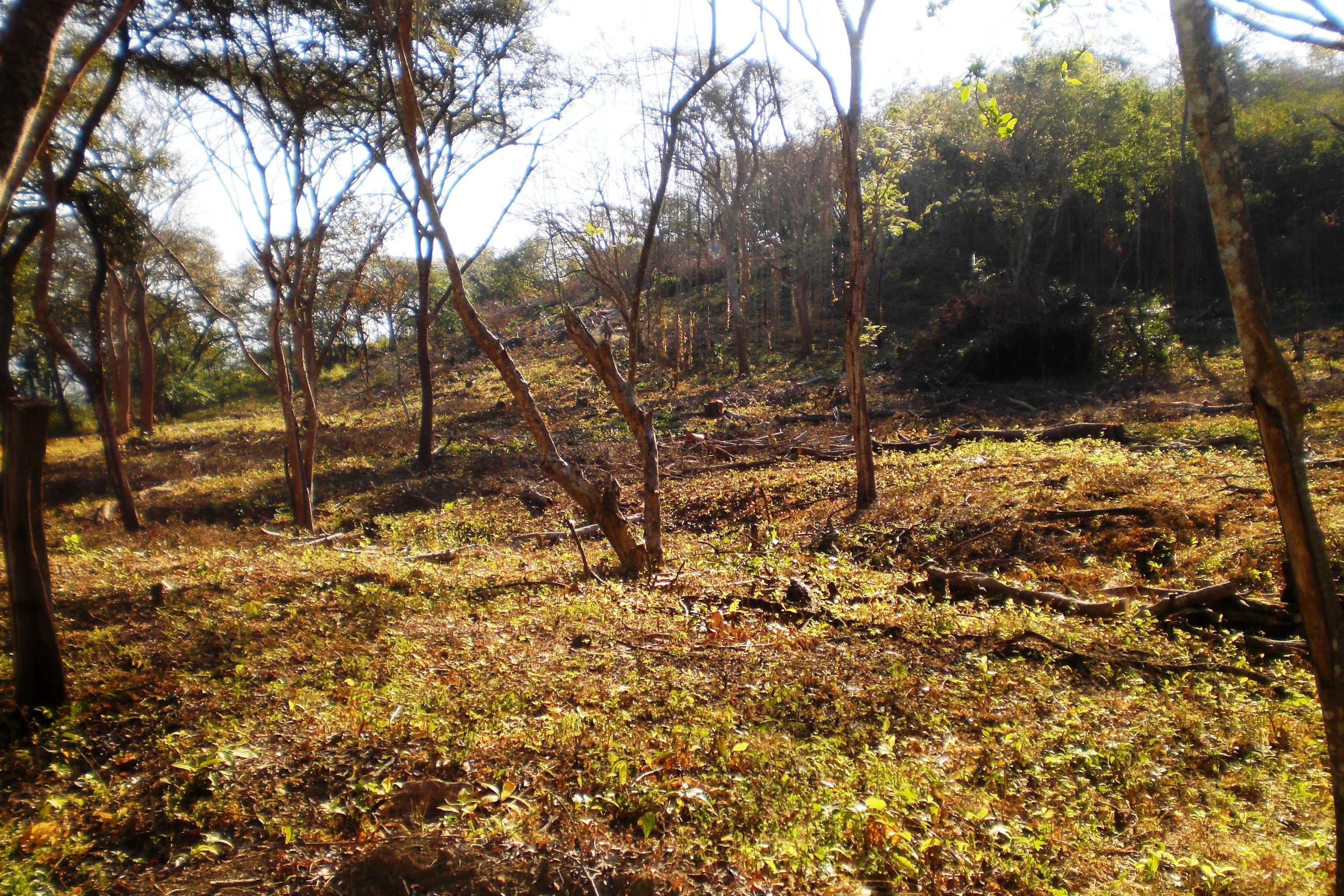 0 bed Land For Sale in Playa Blanca, Puntarenas - thumb 4