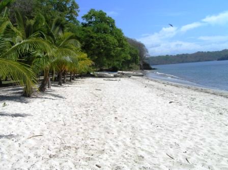 0 bed Land For Sale in Playa Blanca, Puntarenas - thumb 3
