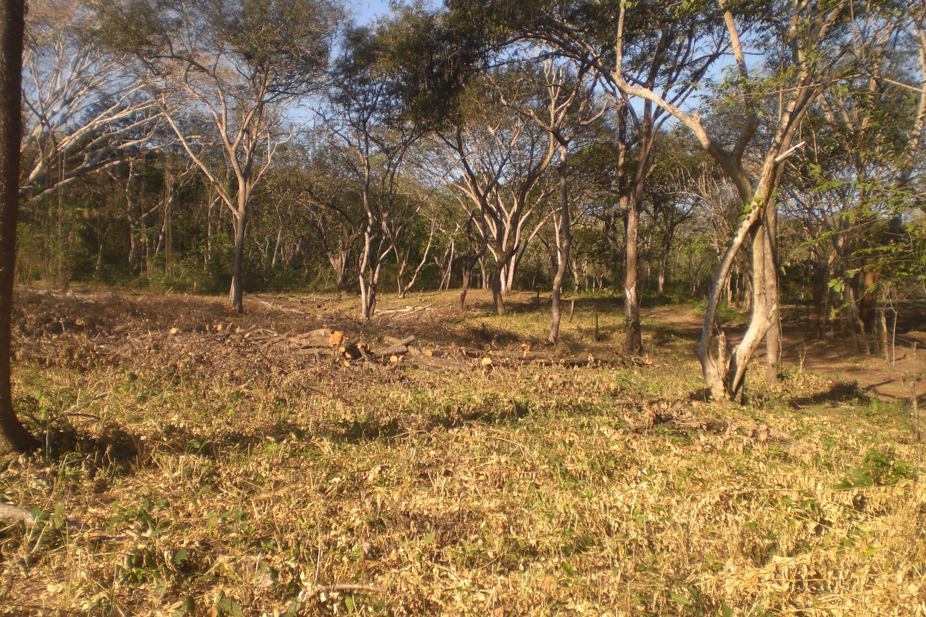 0 bed Land For Sale in Playa Blanca, Puntarenas - thumb 2