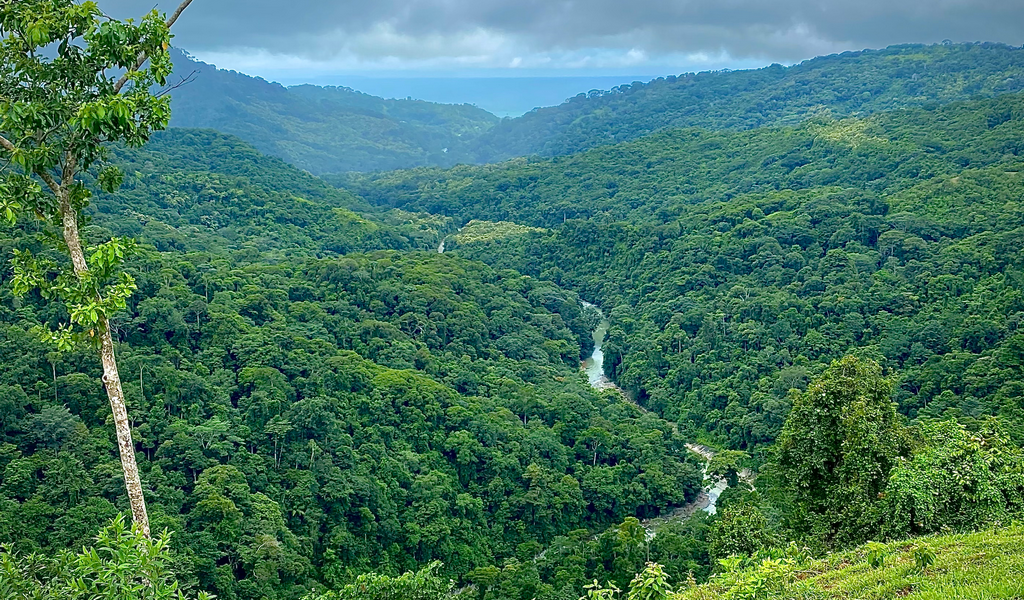 0 bed Land For Sale in Dominical, Puntarenas - thumb 5