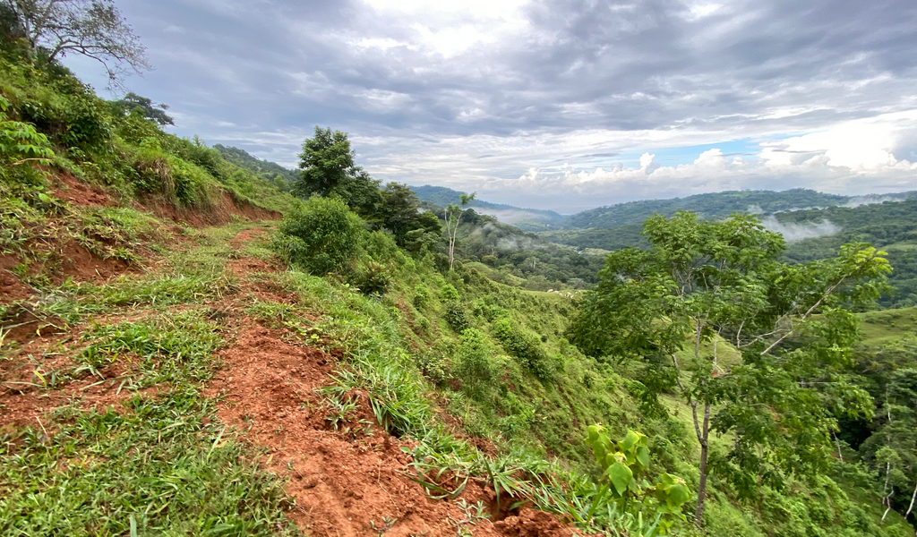 0 bed Land For Sale in Dominical, Puntarenas - thumb 16