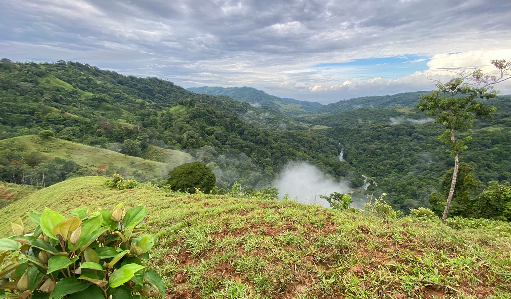 0 bed Land For Sale in Dominical, Puntarenas - thumb 4