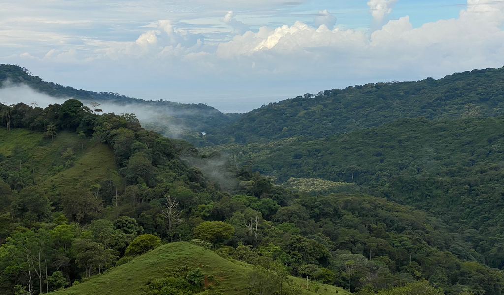 0 bed Land For Sale in Dominical, Puntarenas - thumb 17