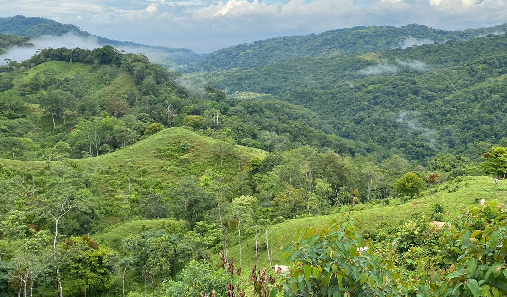 0 bed Land For Sale in Dominical, Puntarenas - thumb 1