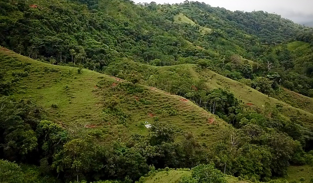 0 bed Land For Sale in Dominical, Puntarenas - thumb 21