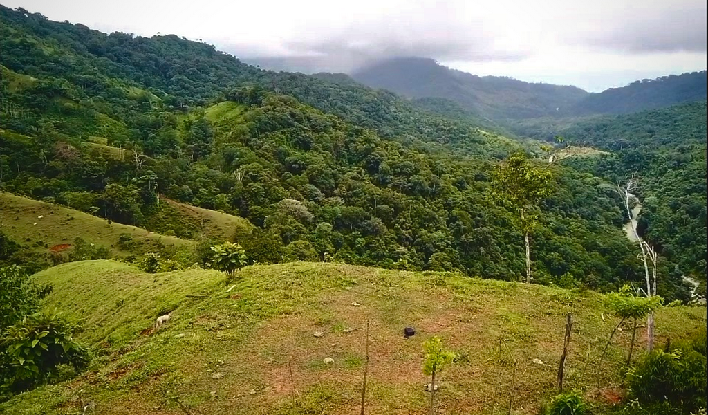 0 bed Land For Sale in Dominical, Puntarenas - thumb 20