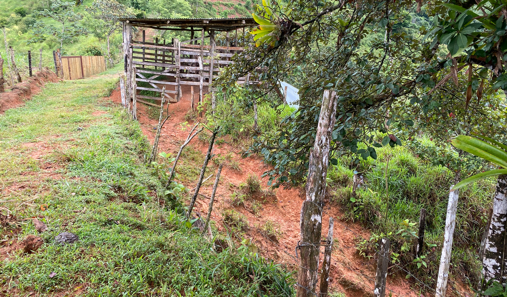 0 bed Land For Sale in Dominical, Puntarenas - thumb 6