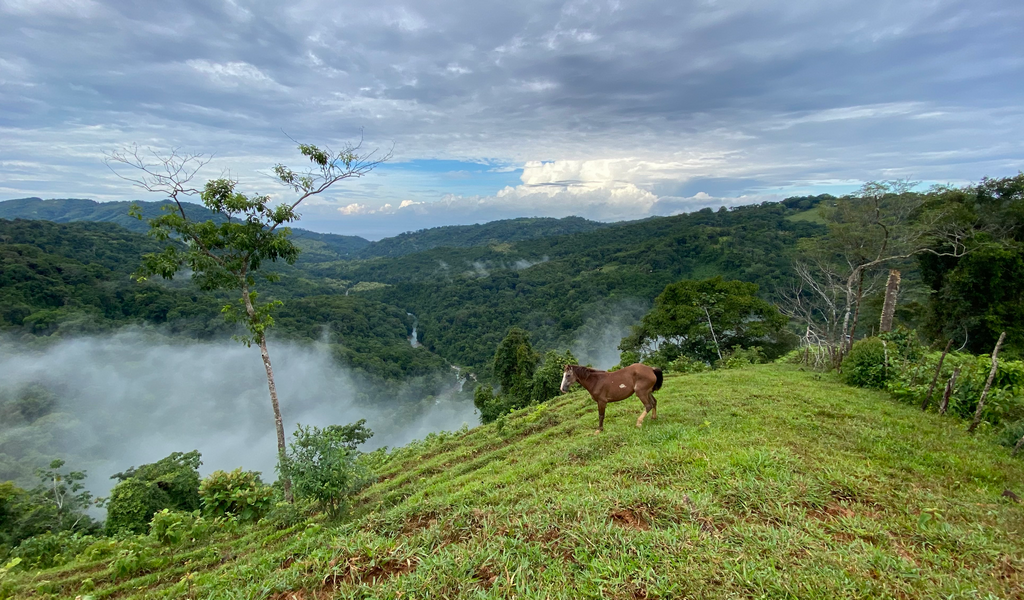 0 bed Land For Sale in Dominical, Puntarenas - thumb 3