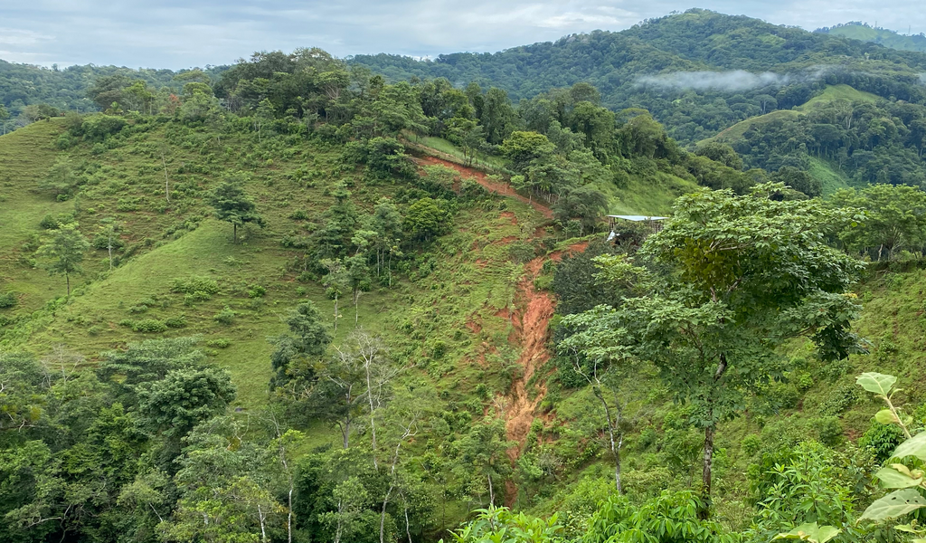 0 bed Land For Sale in Dominical, Puntarenas - thumb 19