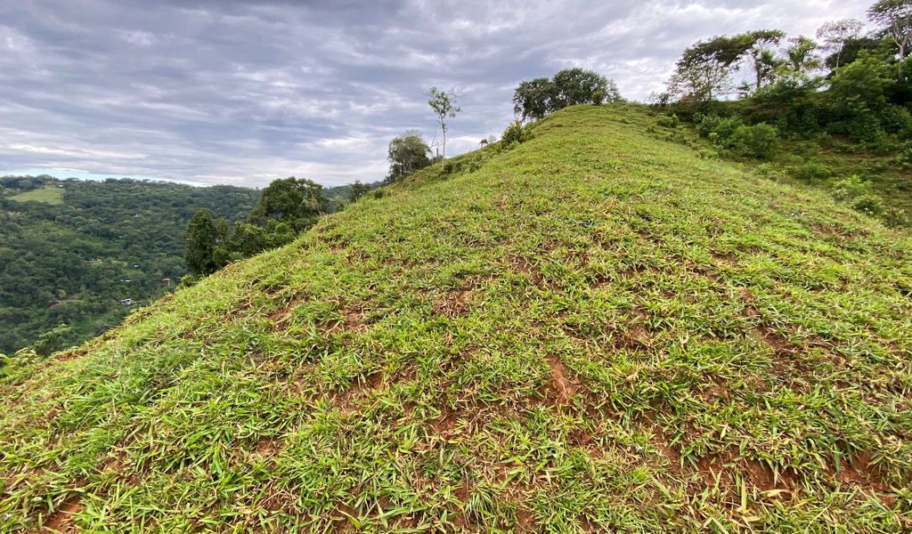 0 bed Land For Sale in Dominical, Puntarenas - thumb 12