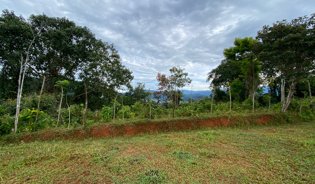 0 bed Land For Sale in Dominical, Puntarenas - thumb 7