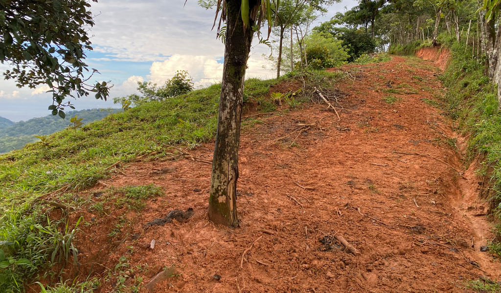 0 bed Land For Sale in Dominical, Puntarenas - thumb 8