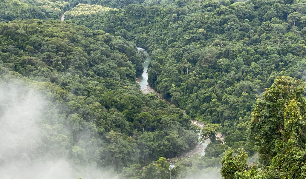 0 bed Land For Sale in Dominical, Puntarenas - thumb 2