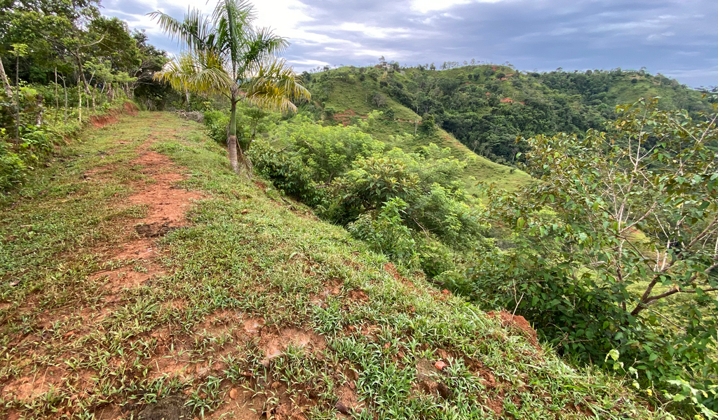 0 bed Land For Sale in Dominical, Puntarenas - thumb 11