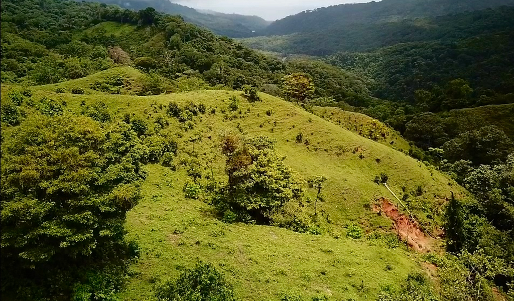 0 bed Land For Sale in Dominical, Puntarenas - thumb 24