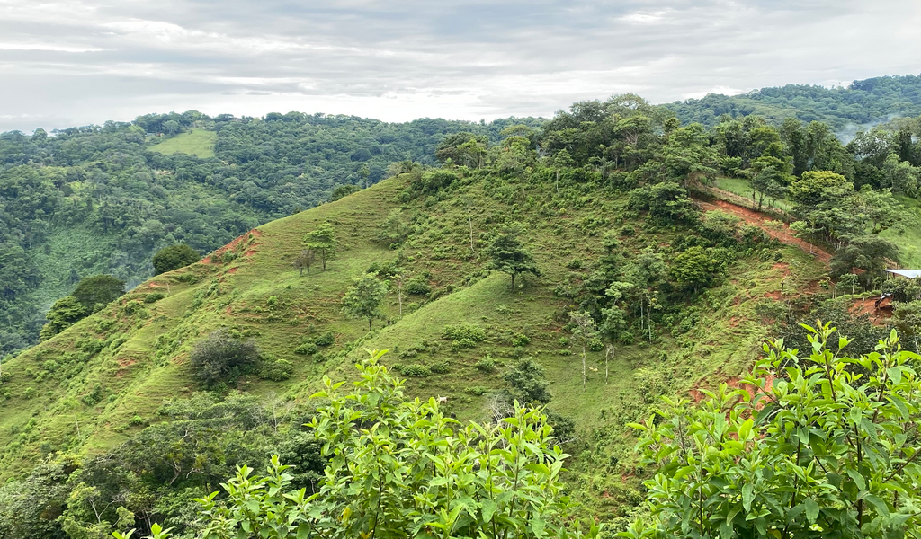 0 bed Land For Sale in Dominical, Puntarenas - thumb 13