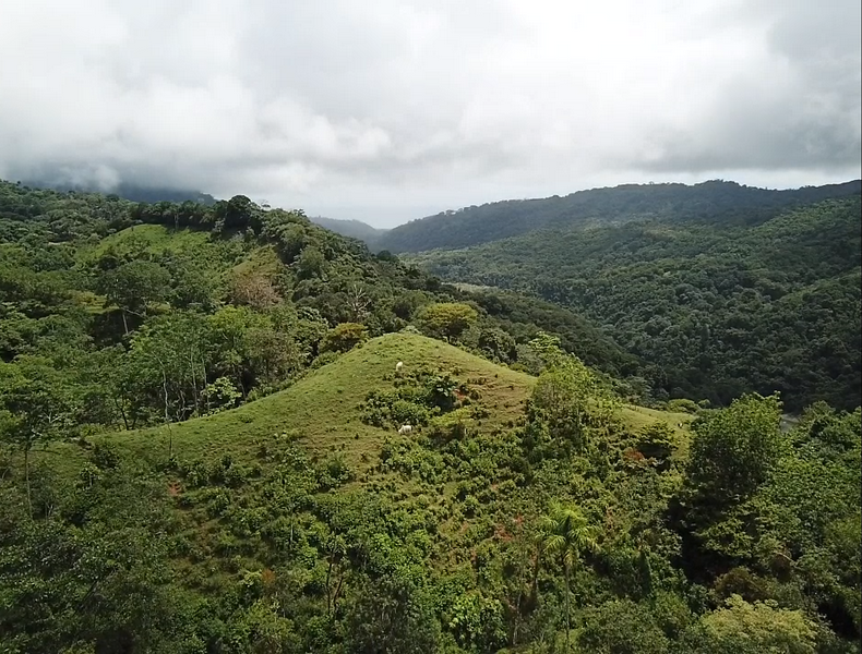 0 bed Land For Sale in Dominical, Puntarenas - thumb 25