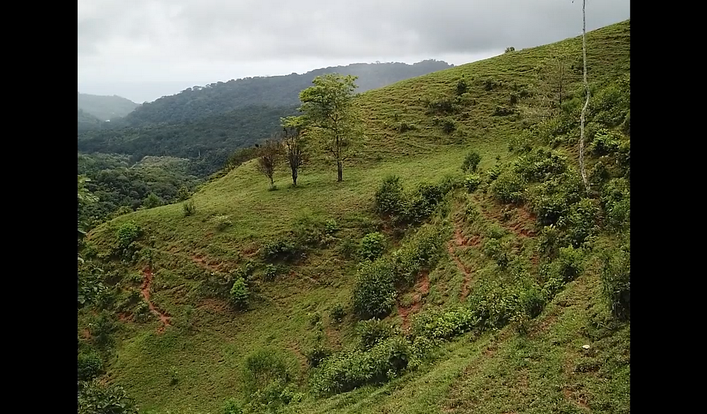 0 bed Land For Sale in Dominical, Puntarenas - thumb 23