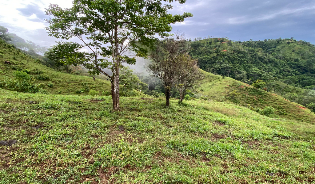 0 bed Land For Sale in Dominical, Puntarenas - thumb 14