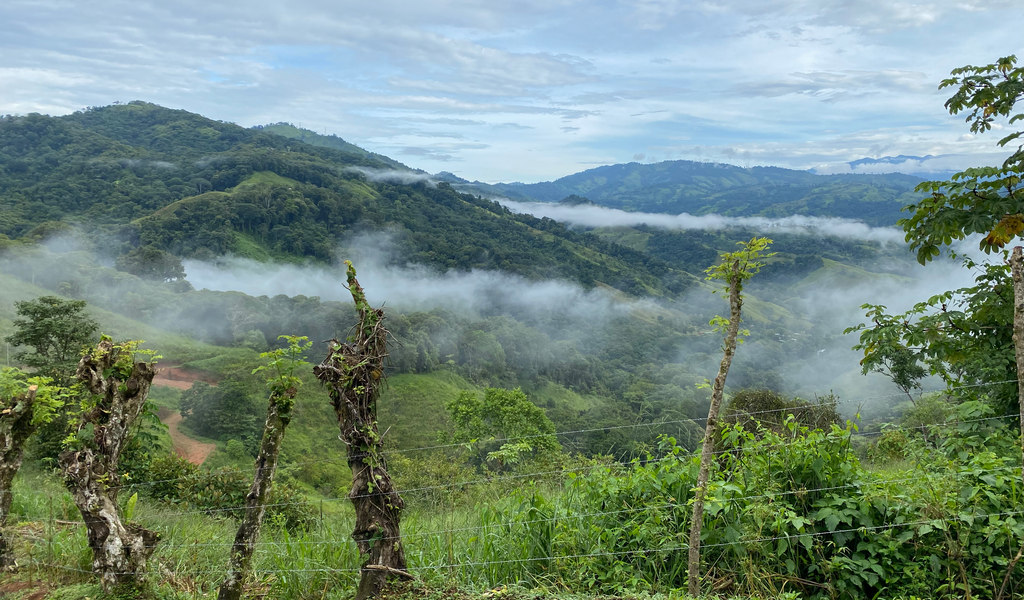 0 bed Land For Sale in Dominical, Puntarenas - thumb 10