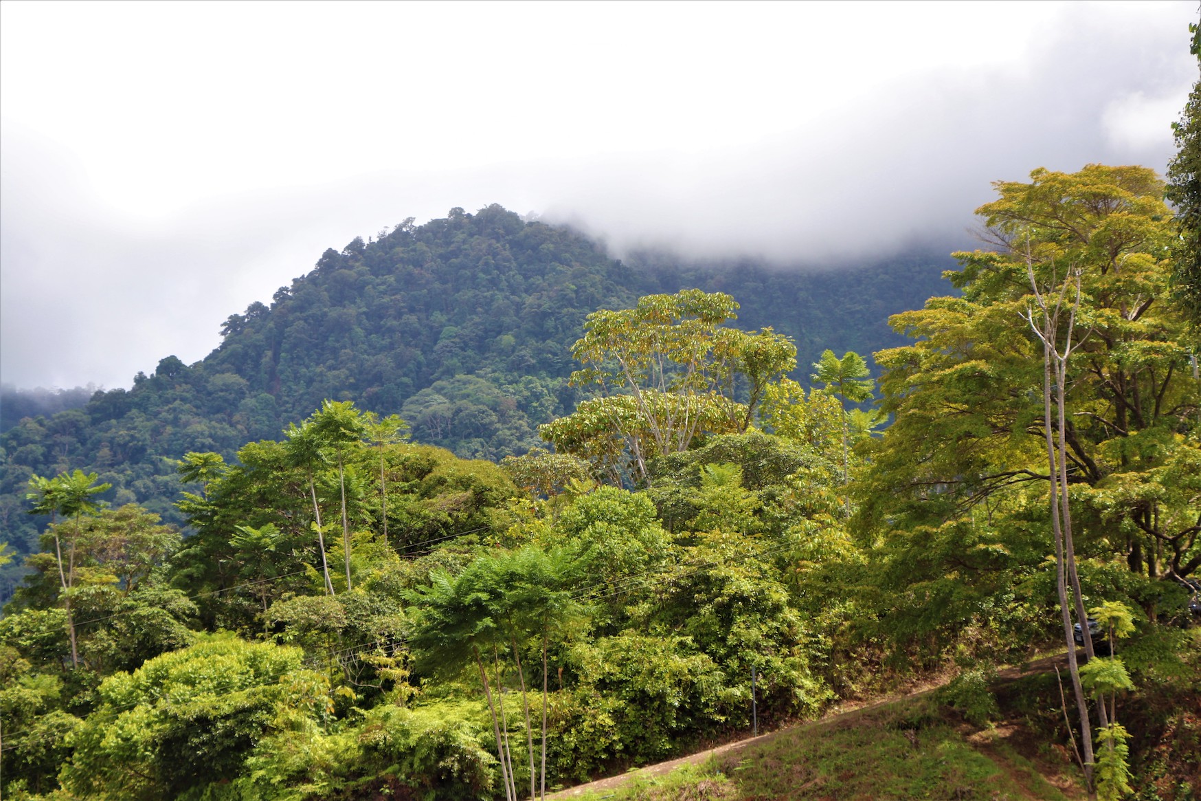 0 bed Land For Sale in Ojochal, Puntarenas - thumb 21
