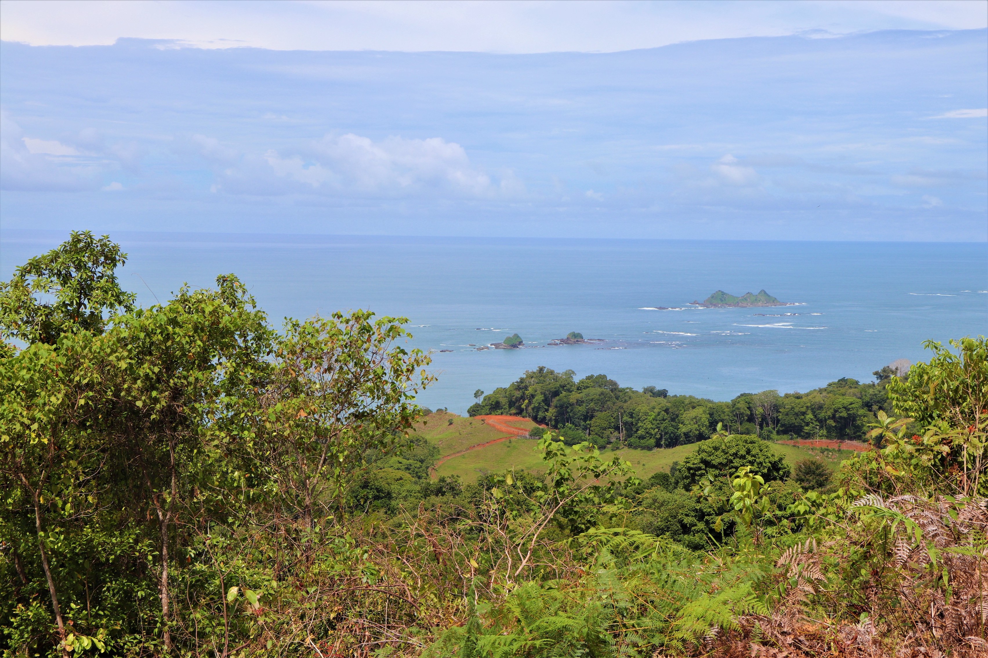 0 bed Land For Sale in Ojochal, Puntarenas - thumb 17