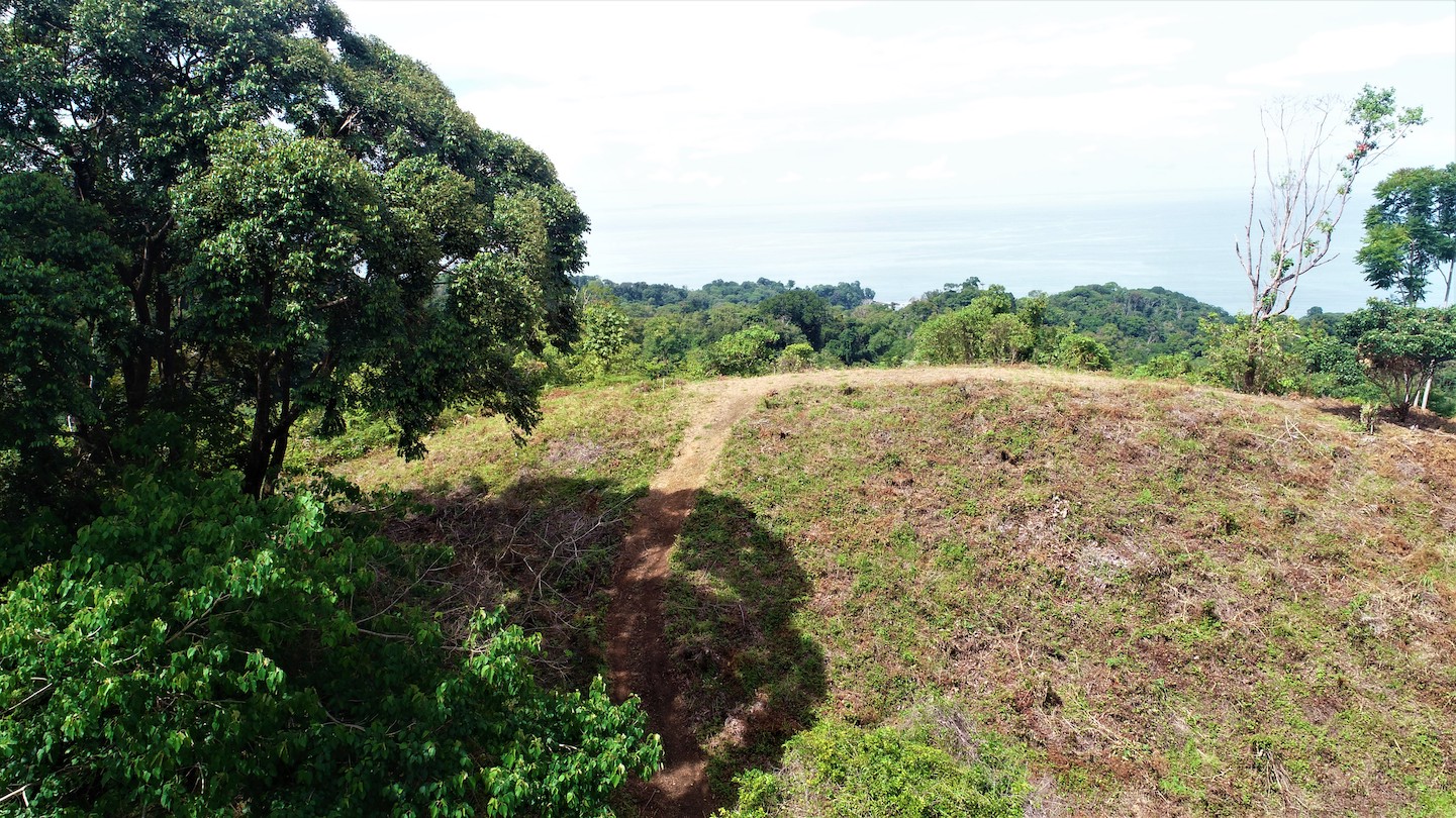 0 bed Land For Sale in Ojochal, Puntarenas - thumb 18