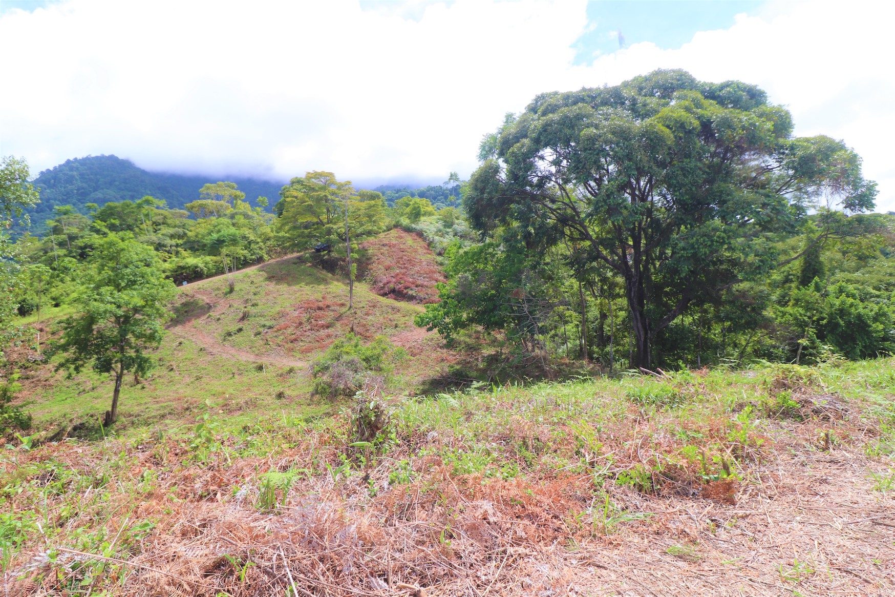 0 bed Land For Sale in Ojochal, Puntarenas - thumb 20