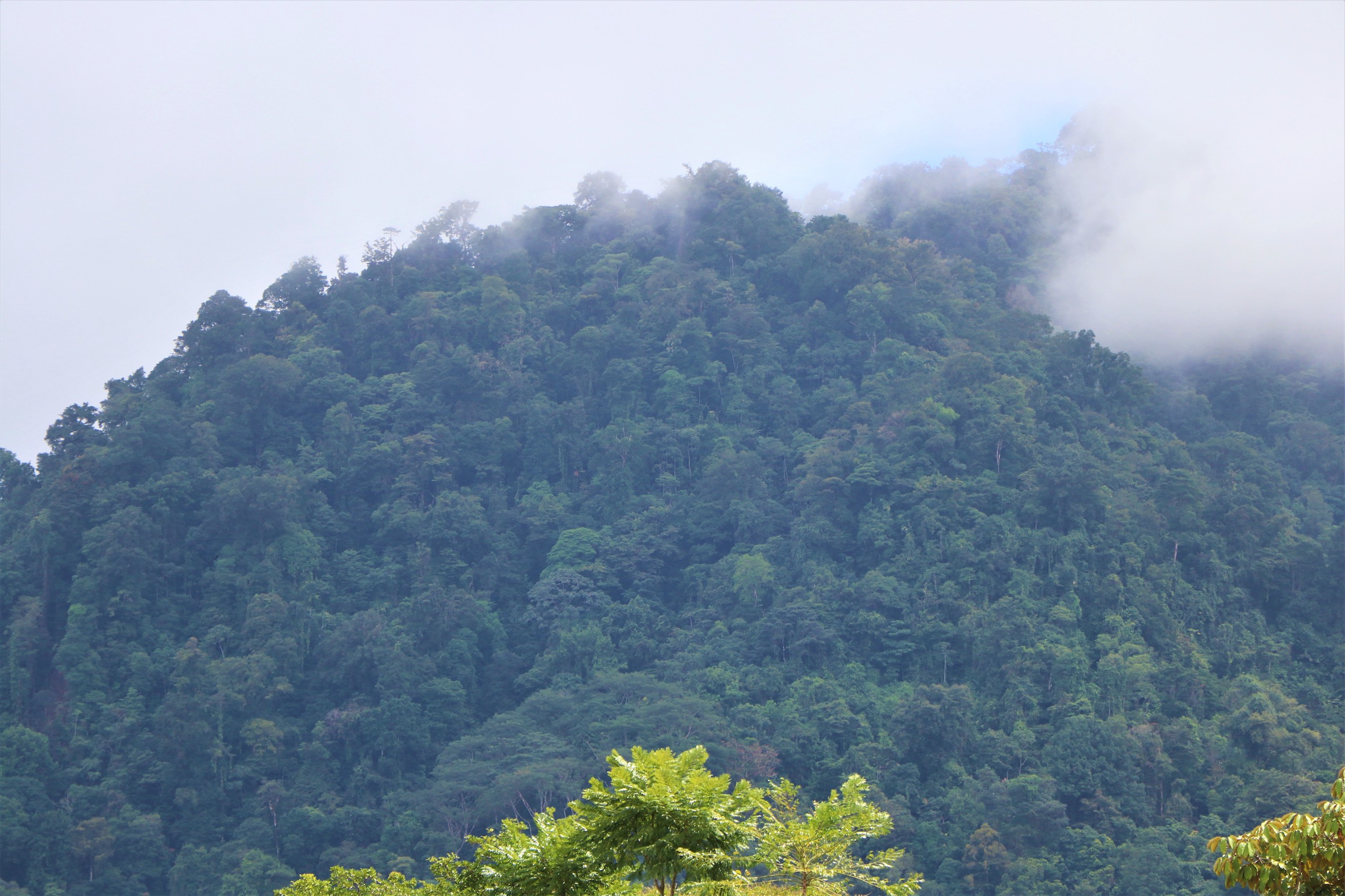 0 bed Land For Sale in Ojochal, Puntarenas - thumb 23