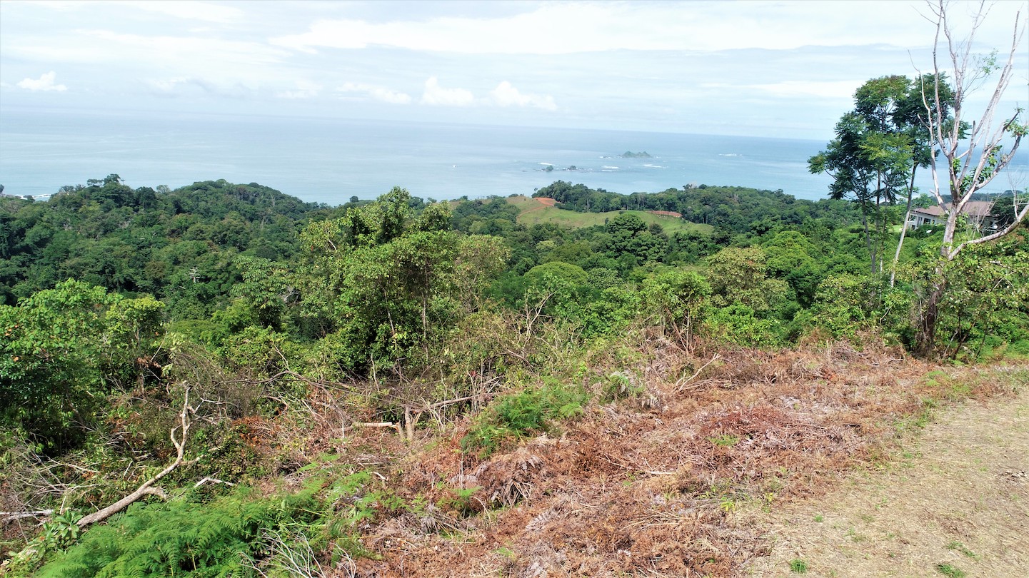 0 bed Land For Sale in Ojochal, Puntarenas - thumb 16
