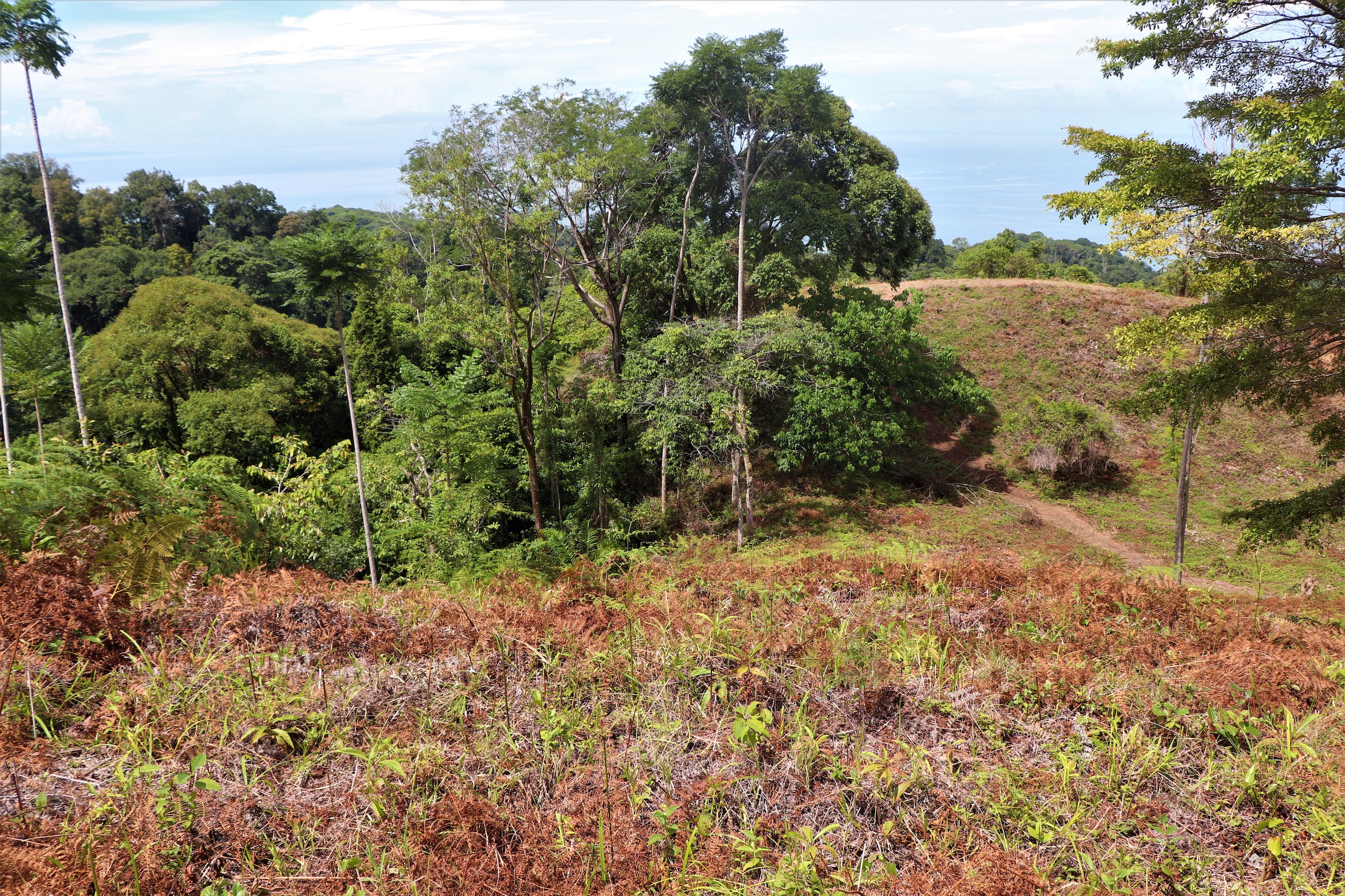 0 bed Land For Sale in Ojochal, Puntarenas - thumb 27