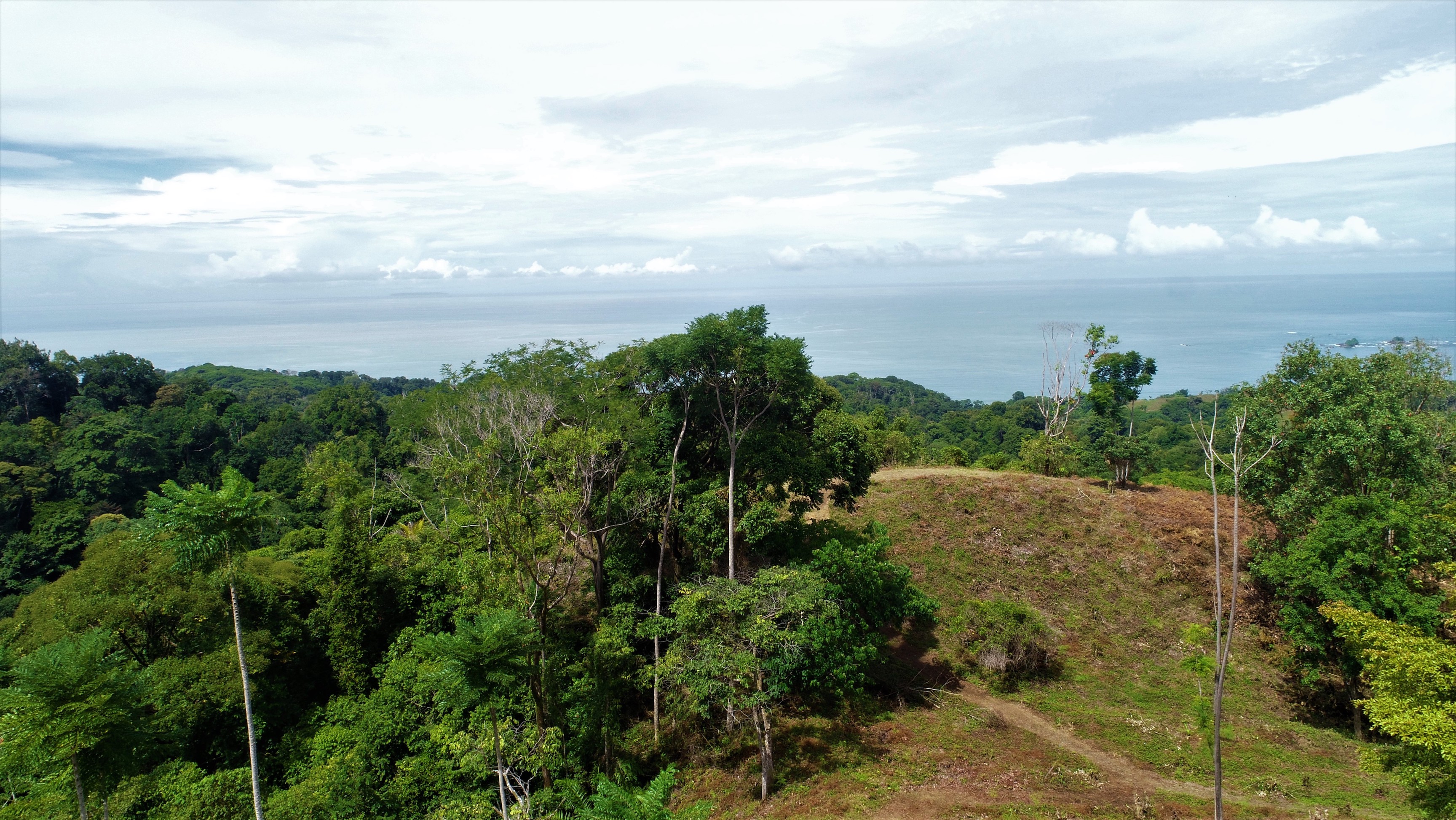 0 bed Land For Sale in Ojochal, Puntarenas - thumb 22