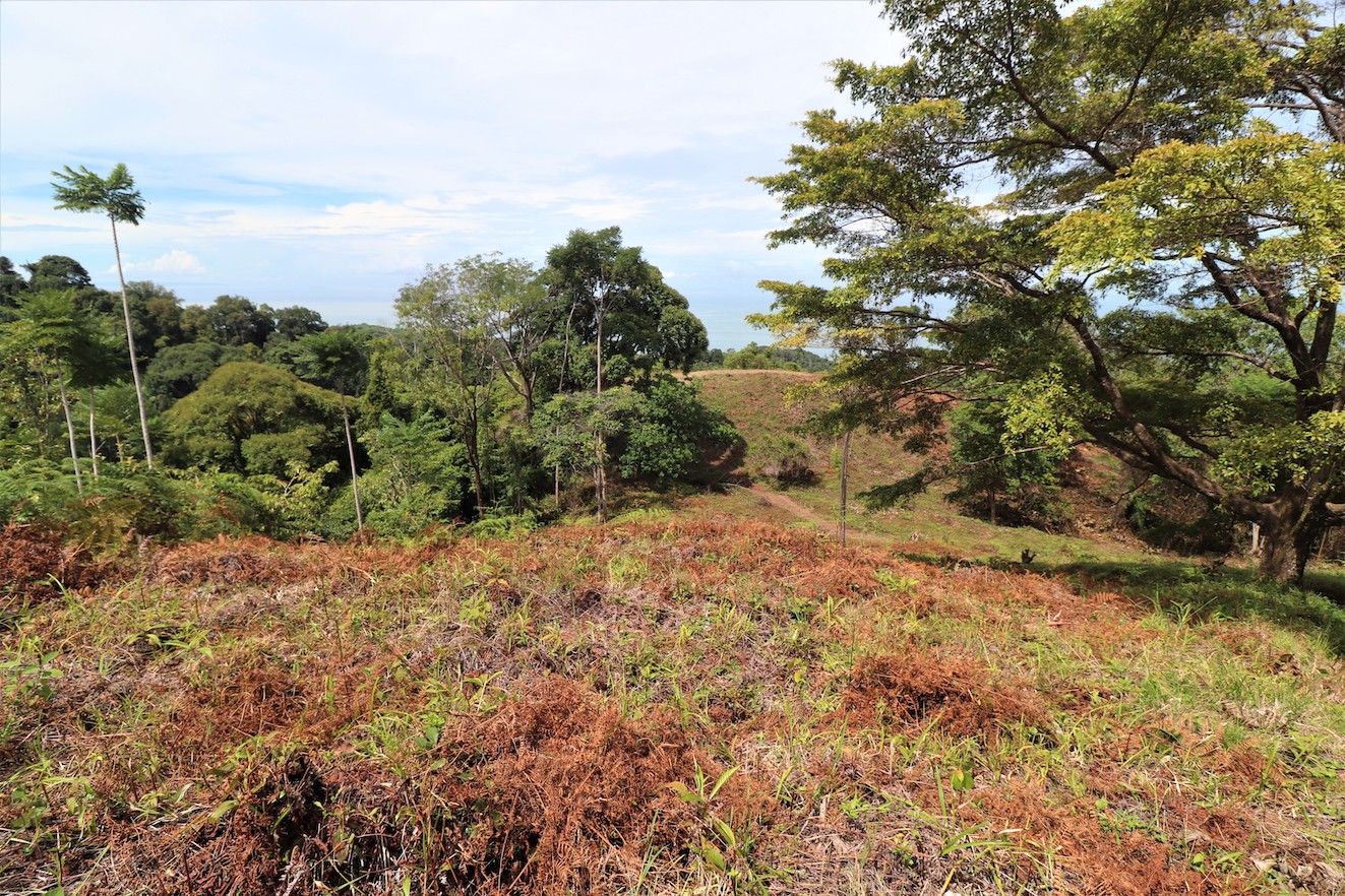 0 bed Land For Sale in Ojochal, Puntarenas - thumb 19