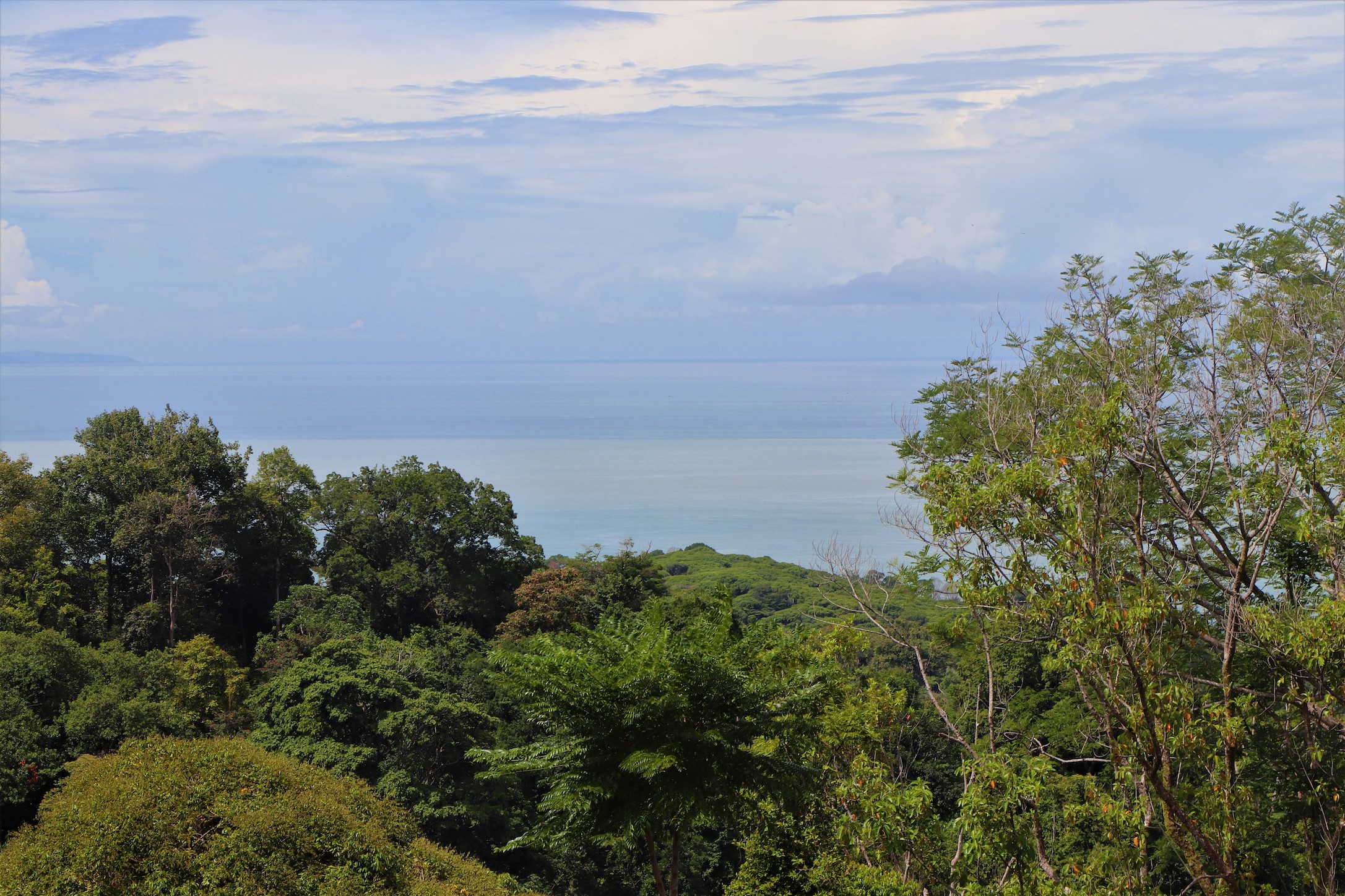 0 bed Land For Sale in Ojochal, Puntarenas - thumb 26