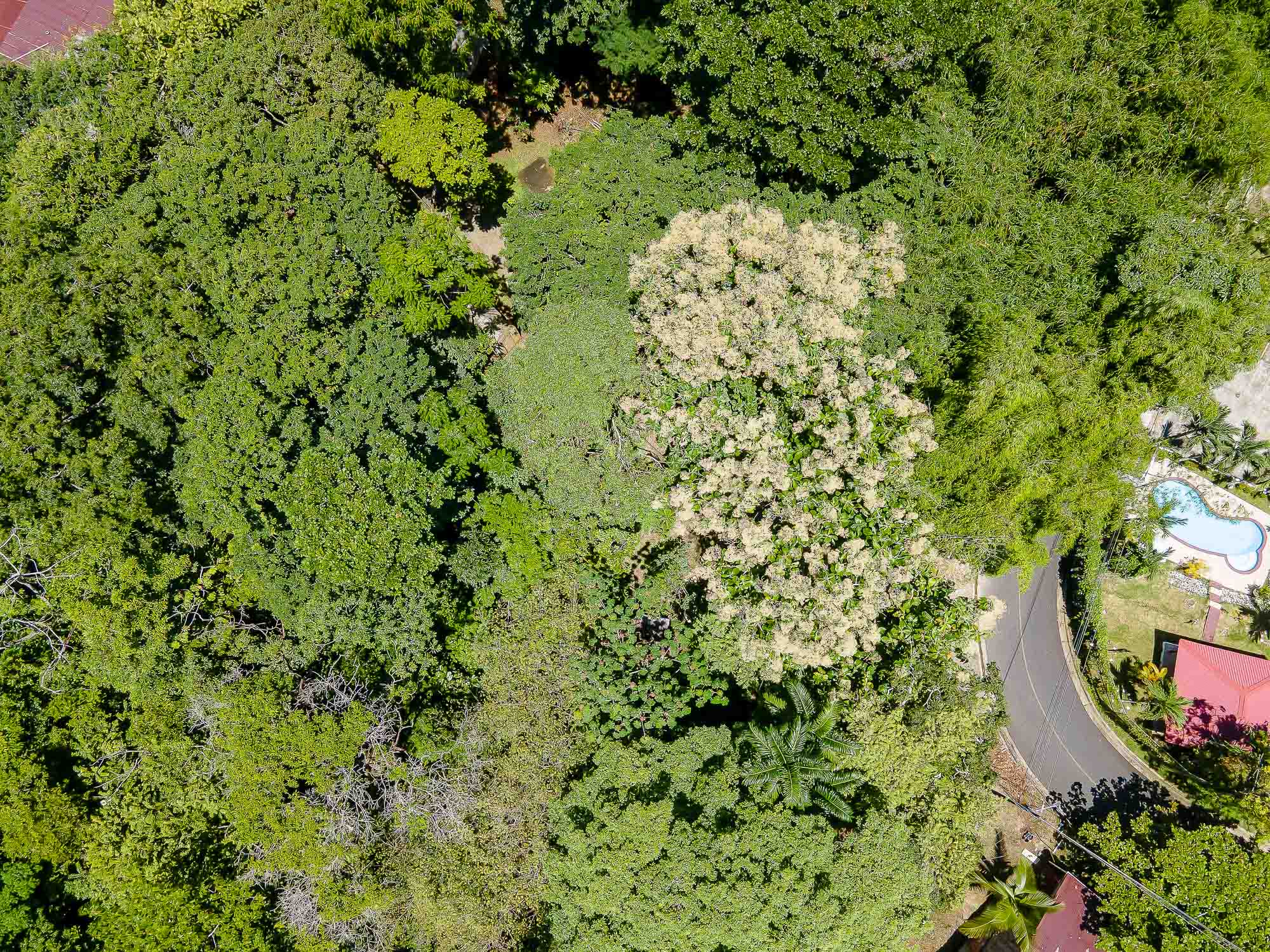 0 bed Land For Sale in Manuel Antonio, Puntarenas - thumb 3