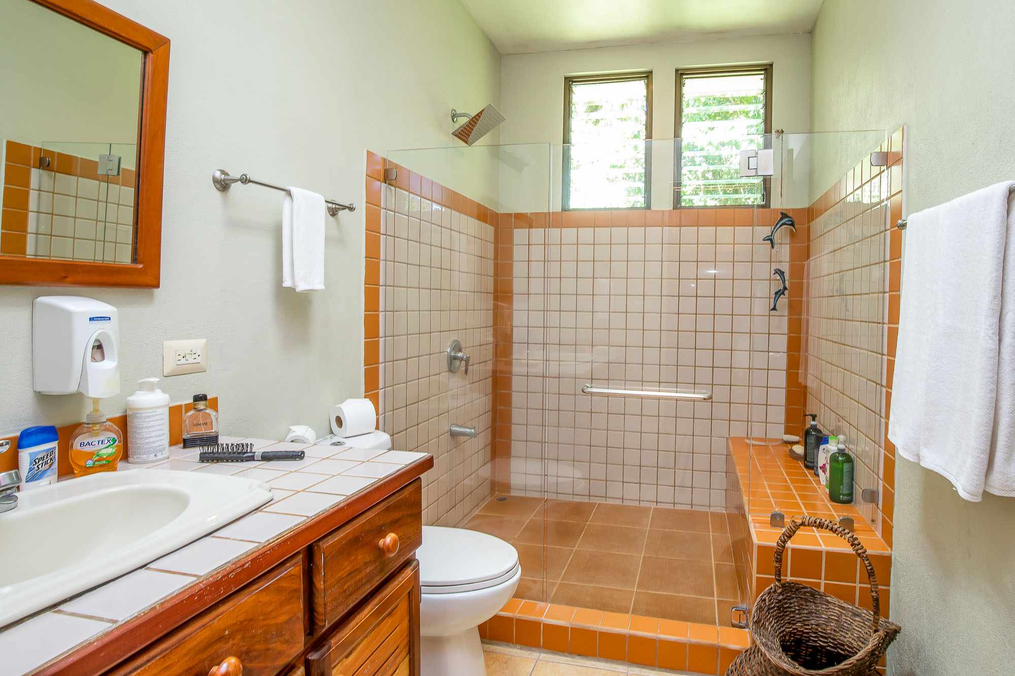 0 bed Land For Sale in Manuel Antonio, Puntarenas - thumb 17