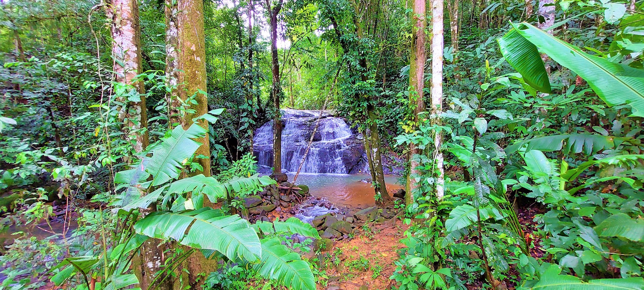 9 bed Single Family Homes For Sale in Dominical, Puntarenas - thumb 29