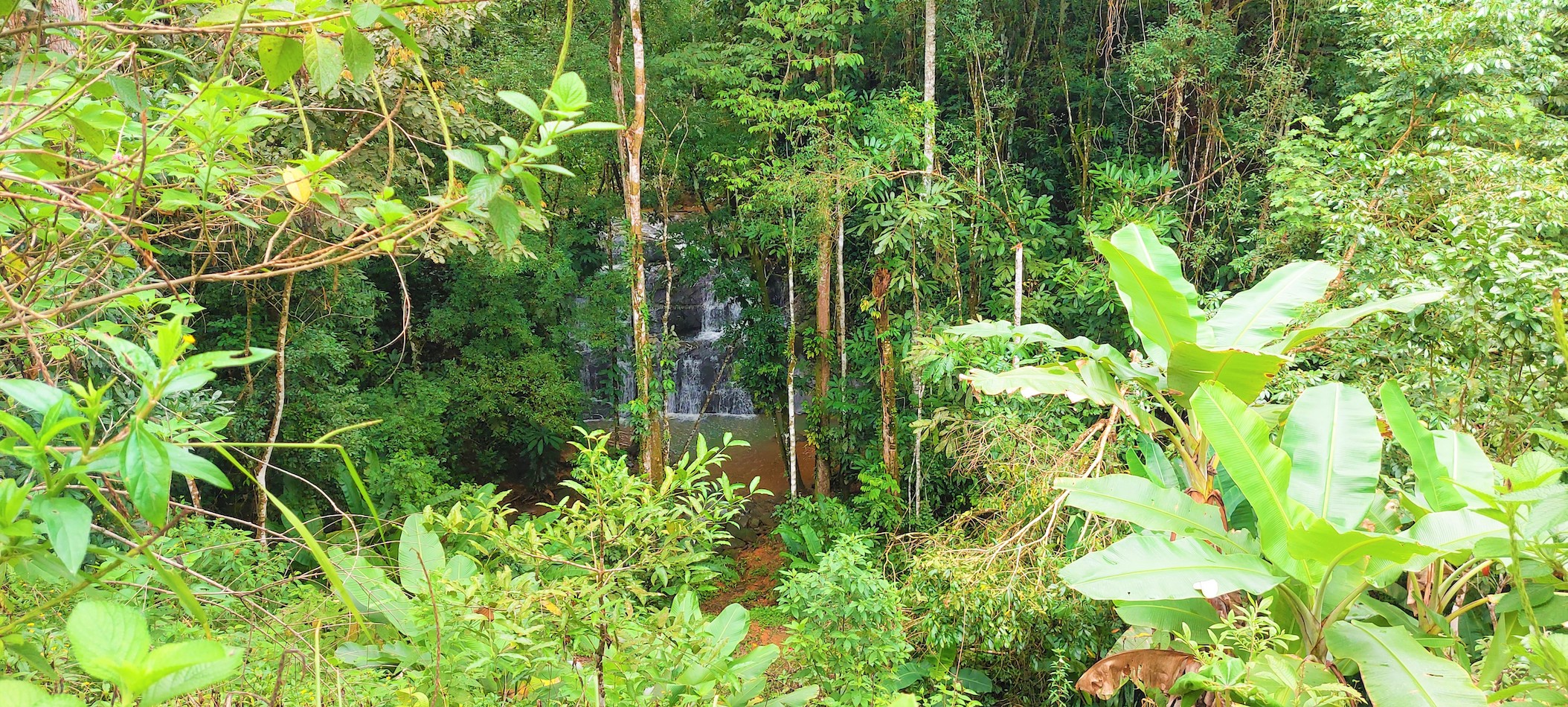 9 bed Single Family Homes For Sale in Dominical, Puntarenas - thumb 27