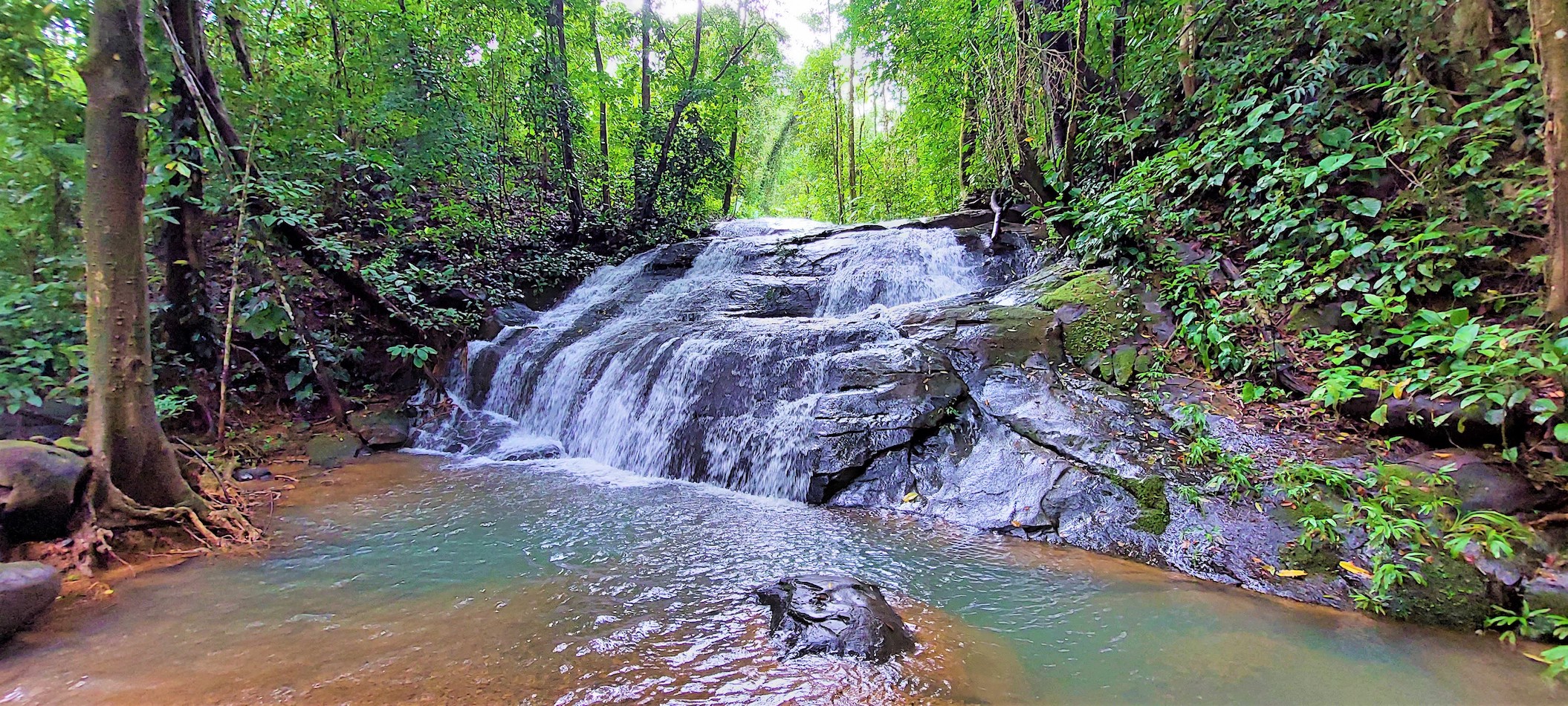 9 bed Single Family Homes For Sale in Dominical, Puntarenas - thumb 30