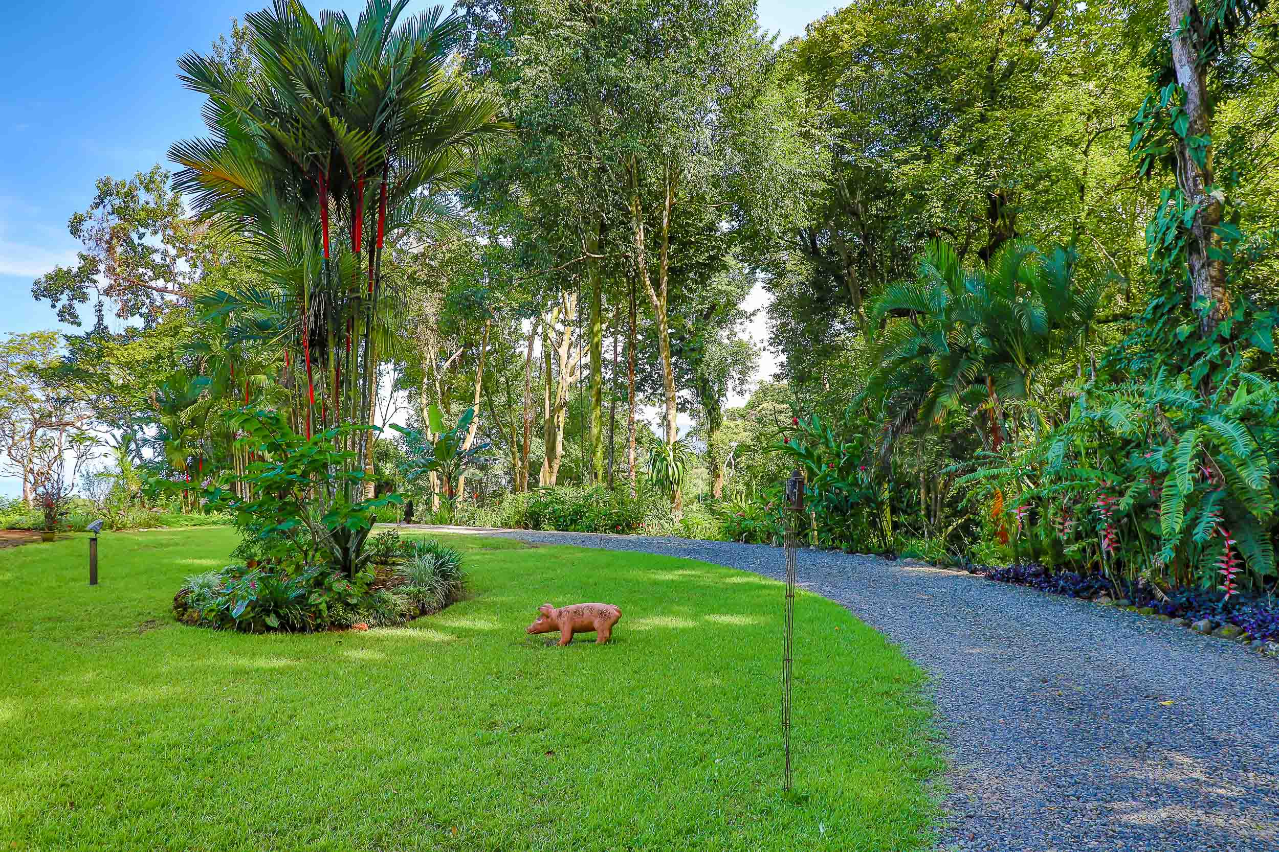 1 bed Single Family Homes For Sale in Savegre, Puntarenas - thumb 24