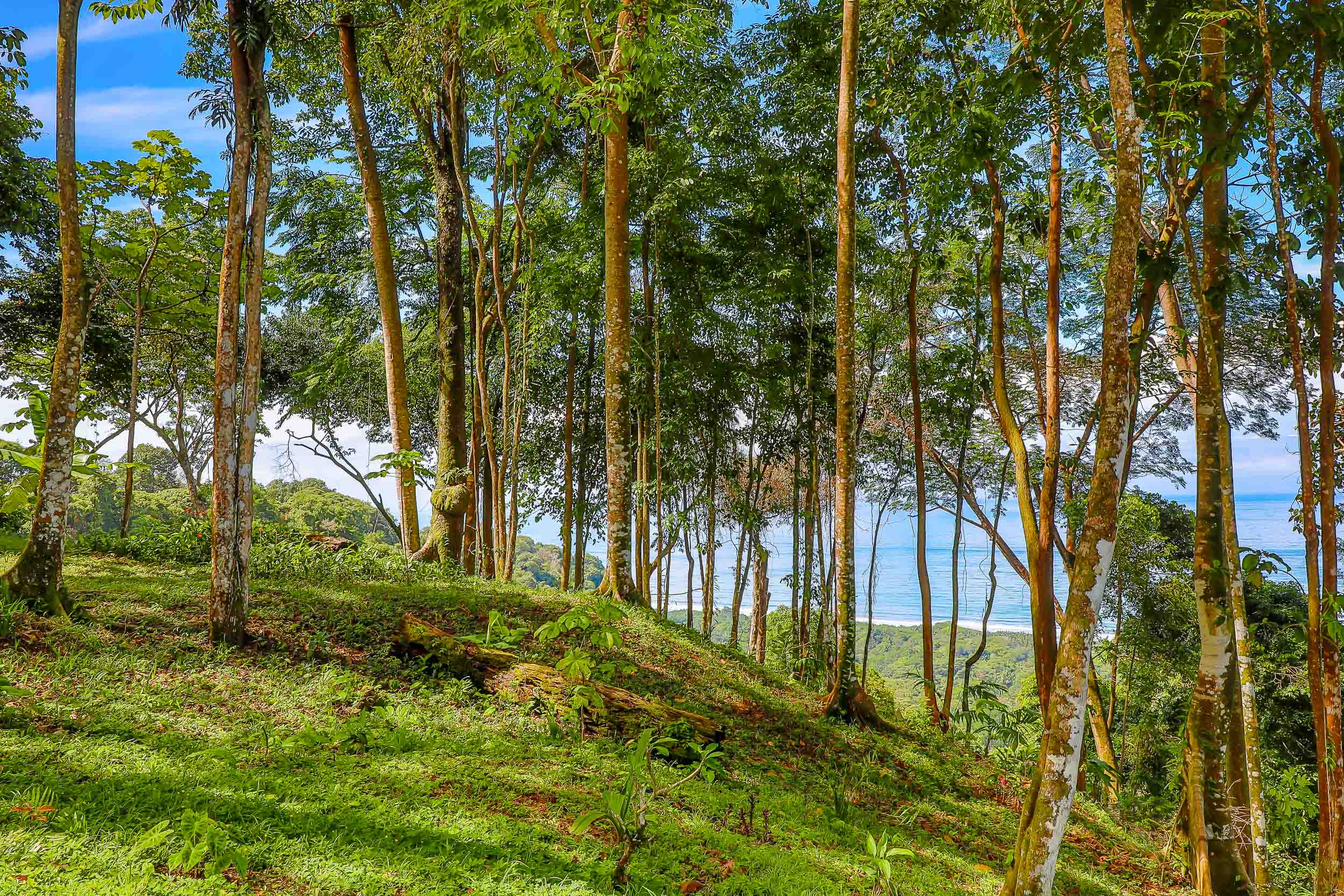 1 bed Single Family Homes For Sale in Savegre, Puntarenas - thumb 26